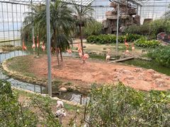 -无锡动物园·太湖欢乐园