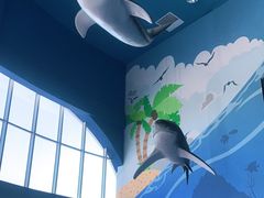 -秦皇岛新澳海底世界