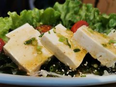 豆腐海藻沙拉-胜博殿日式炸猪排(西红门店)