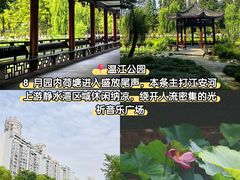 -老鼎万春卤菜(五代传承创始老店)