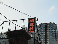 -桃源村铁锅炖鱼(体育馆道店)