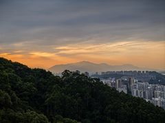 -福道
