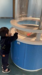 -北京科学中心儿童乐园