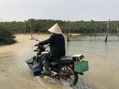 -红树林天天赶海