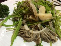 -万柳阁小馆·花园餐厅(龙潭湖店)