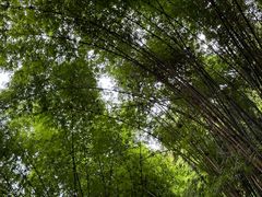 -凤栖山