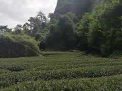 -武夷山风景名胜区-虎啸岩