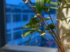-十二舍·湯物素煮(江泰潤政店)