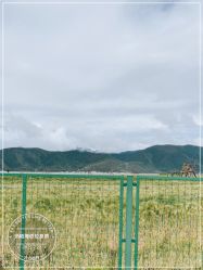 -纳帕海依拉草原