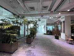 -大视光学•LINDBERG林德伯格•全球手工眼镜集合店(王府井店)