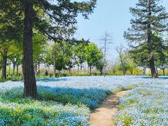 -上海辰山植物园