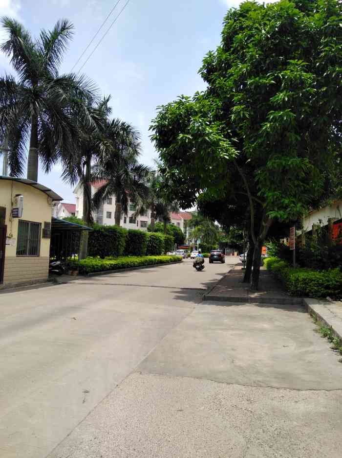 doctype html> html lang="zh-cn"> head> meta