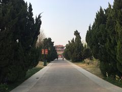 -曹州牡丹园