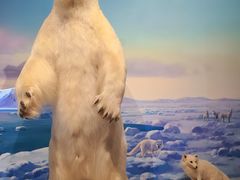 -陕西自然博物馆