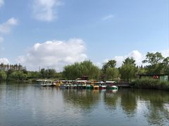 -上海长兴岛郊野公园