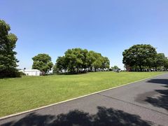 -上海月湖雕塑公园