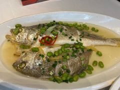 -乾隆美食·本帮菜(黄河路店)