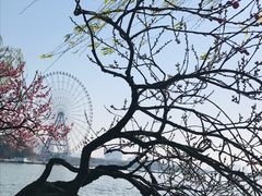 -无锡蠡湖国家湿地公园-蠡园