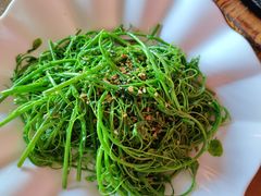 野菜（赤仓藤）-东馆和天下特色餐饮(工农店)