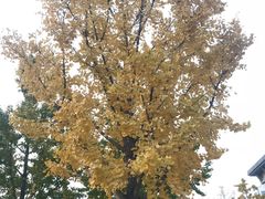 -香山公园-东宫门售票处