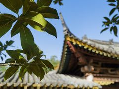 -武侯墓风景区