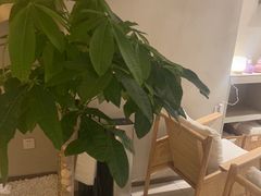 -泰合玺·精油疗愈 SPA(南京河西万达店)