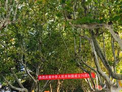 -江苏科技大学(梦溪校区)