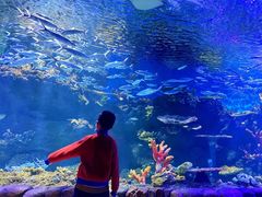 -华夏文旅海洋公园