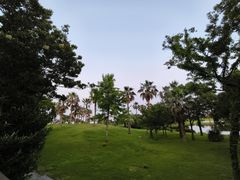 -普陀山风景名胜区-千步大沙