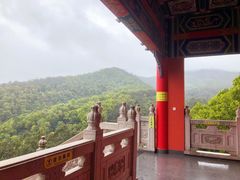 -东莞市大岭山森林公园