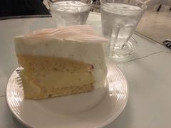 -Fern Forest Cafe