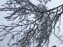 -硗碛藏寨·神木垒景区