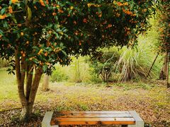 -梁鸿国家湿地公园