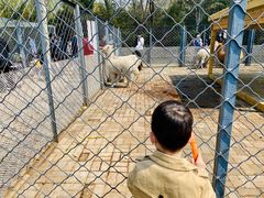 -长白岛森林公园