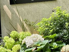 -T館·花园艺术餐厅