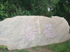 -大港湿地公园