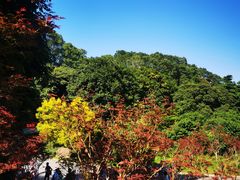 -广州市帽峰山景区