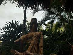 -广州长隆国际大马戏