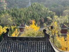 -青龙山生态文化旅游区(慈云寺)
