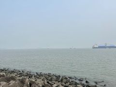 -上海滨江森林公园