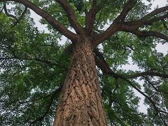 -天津盘山风景名胜区