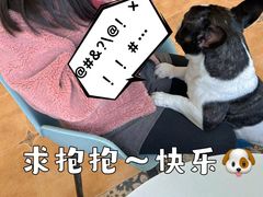 -Let's go狗咖·猫咖·奶狗·桌游(春熙路IFS店)