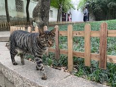 -西园戒幢律寺