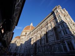 -圣母百花大教堂穹顶