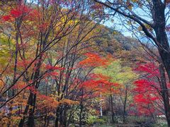 -本溪老边沟风景区