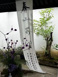 -浙江1+1主持人工作室