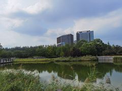 -大望京公园