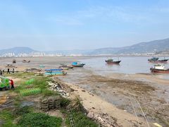-北岐滩涂