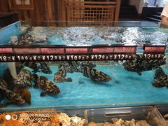 -宴西湖(滨湖公园店)