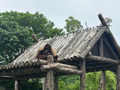 -上海野生动物园